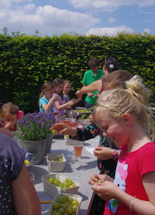 Kinderen zelf aan de slag tijdens workshop fruit kruiden parfum Sprankenhof Udenhout