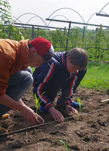 Twee jongens helpen de boer mee met planten tijdens educatief programma scholen op Sprankenhof Udenhout