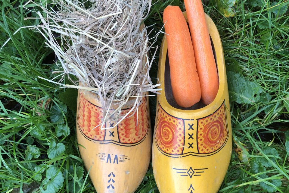boerenklompen met wortels en hooi