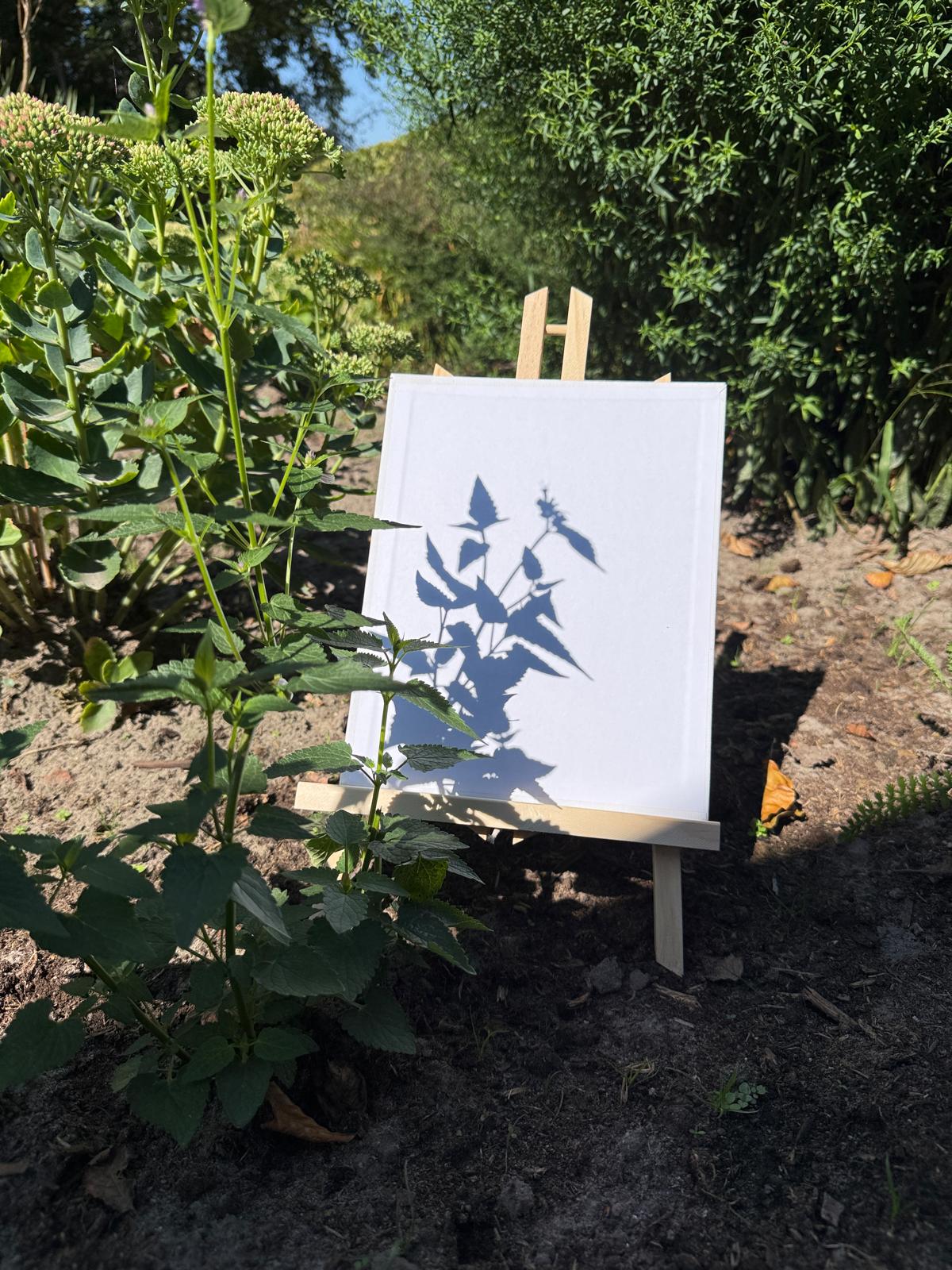 Kunst speurtocht