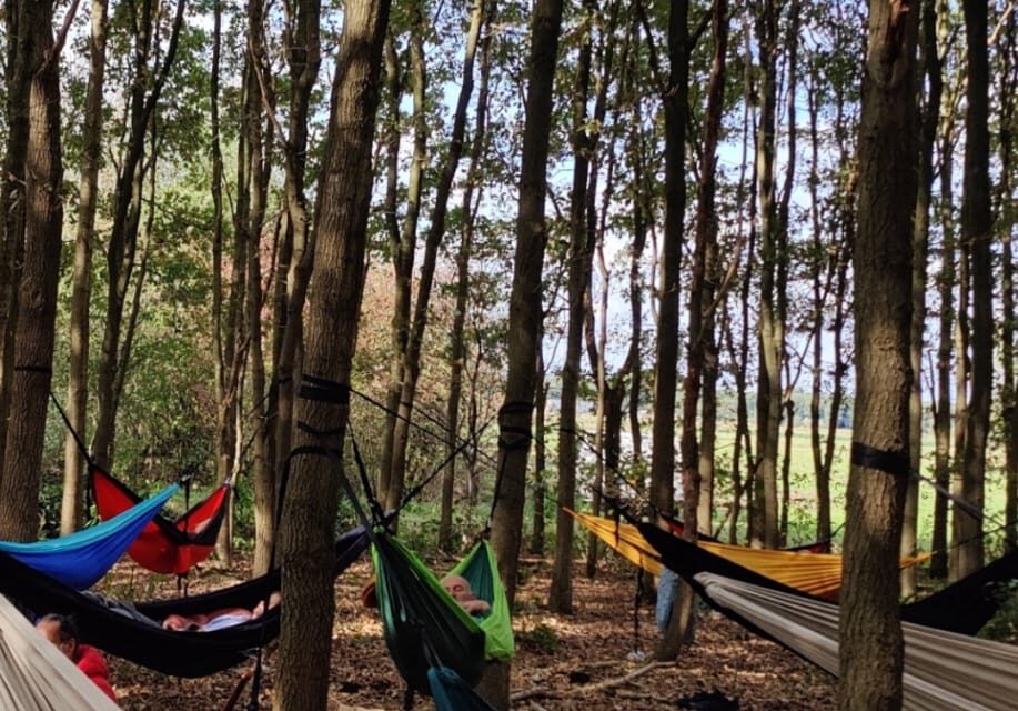 hangmat in bomen tijdens stiltewandeling